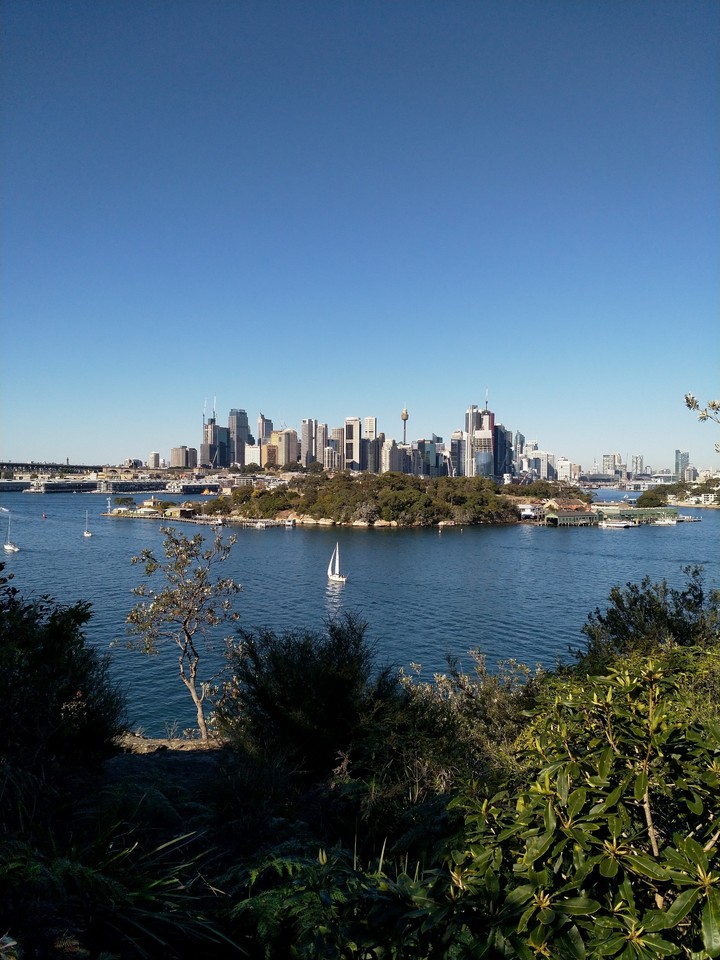 Views on Sydney CBD from Balls Head Reserve