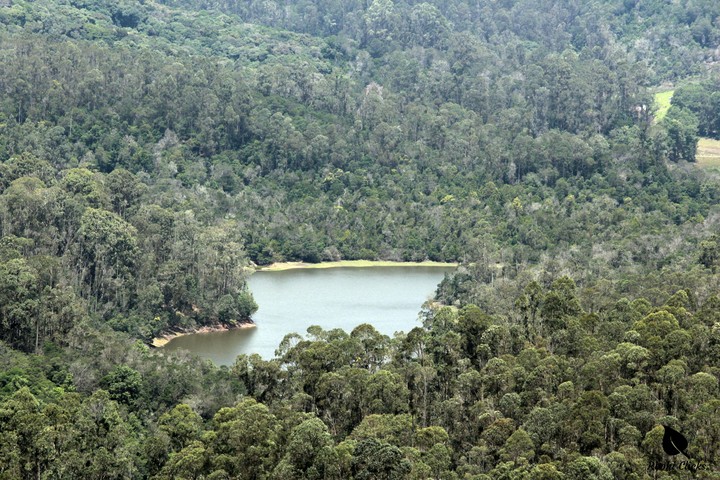 serene lake