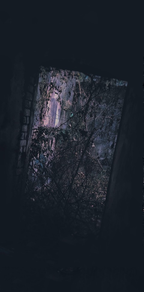 horror wall