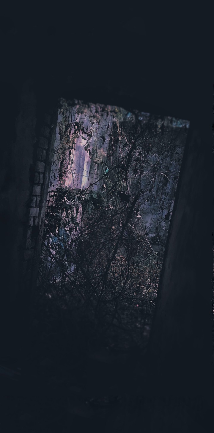 horror wall