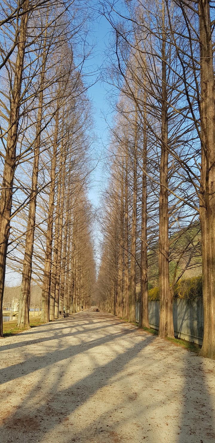 길