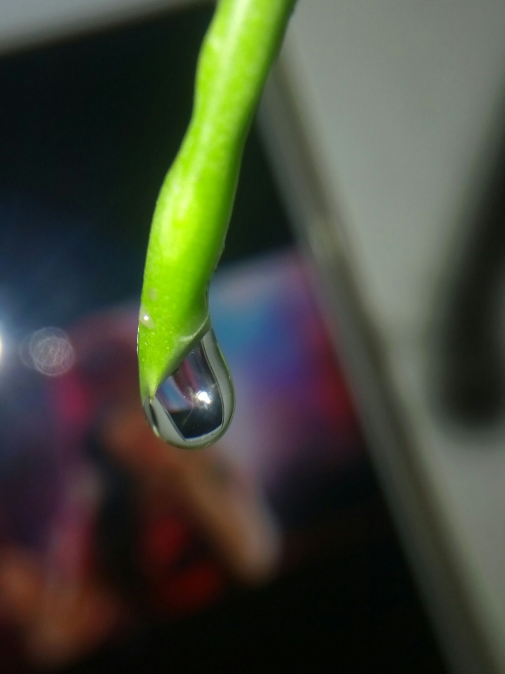 drop