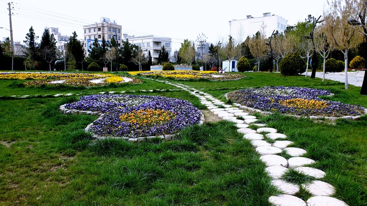 spring:)