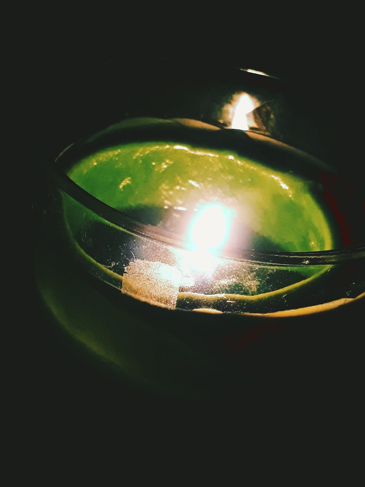 Evergreen candle