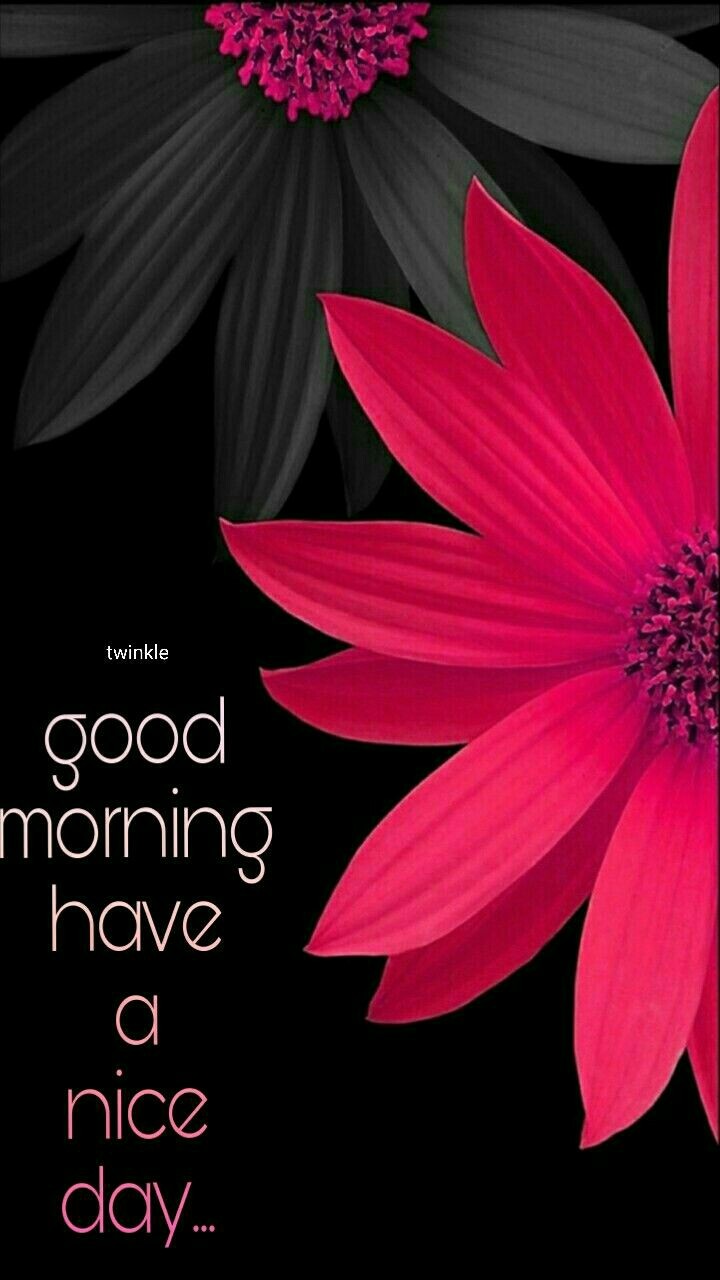 GM