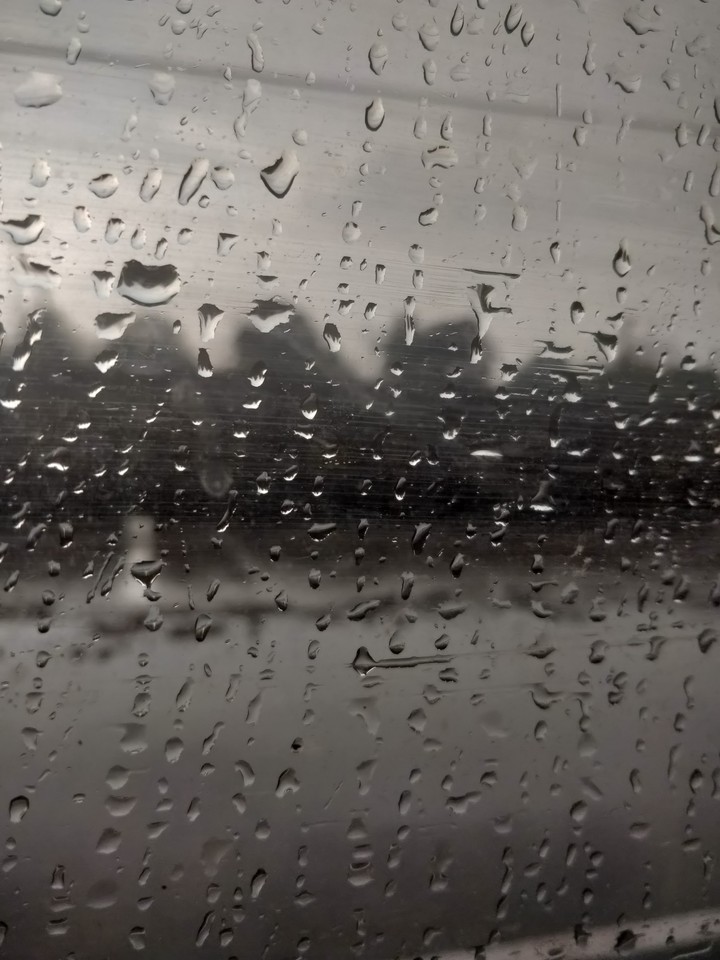 Dew Drops