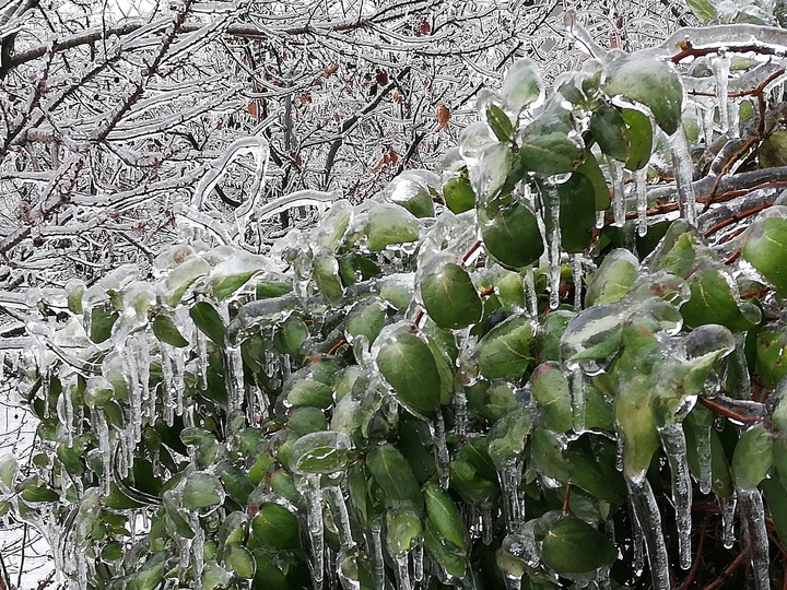 magic winter