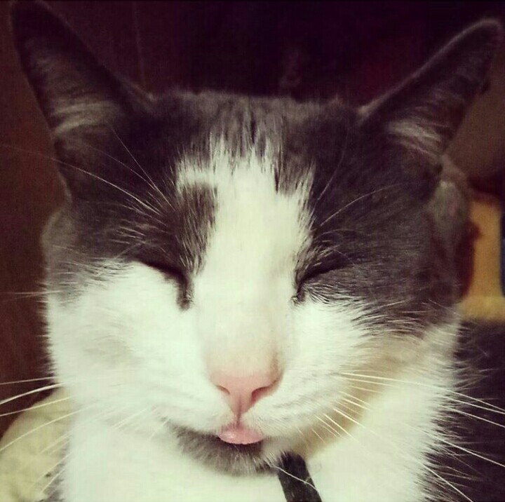Sam