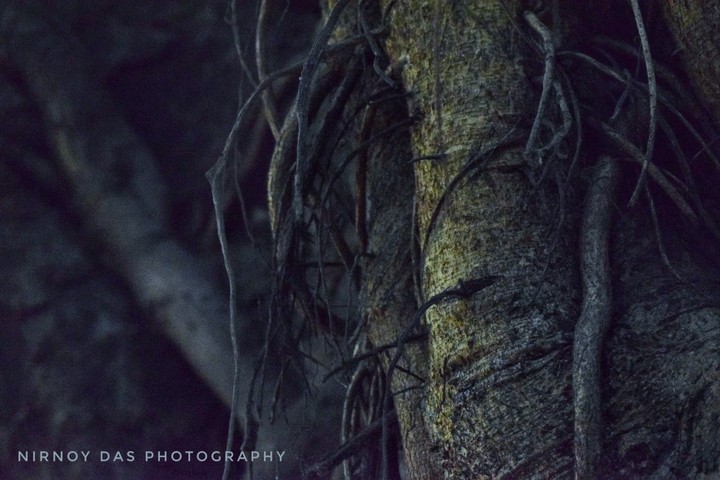 nature in beautiful way.....