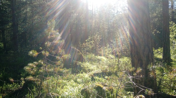 unexplored wilderness