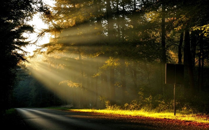 sun beams