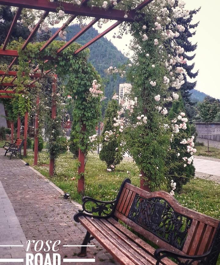 Borjomi