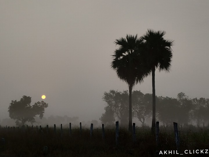 sunrise