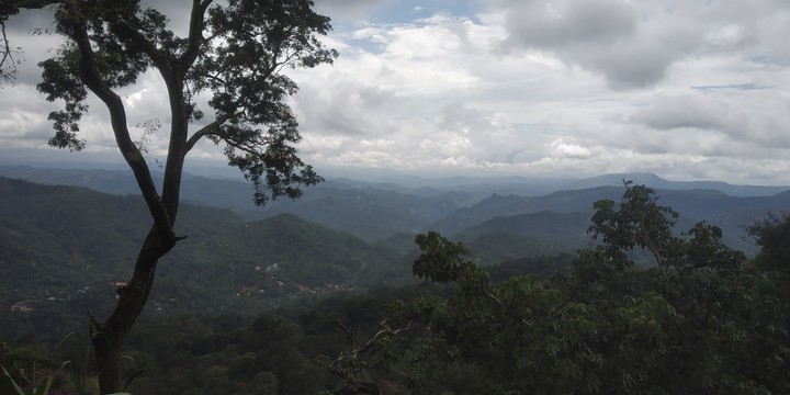 a nice view
