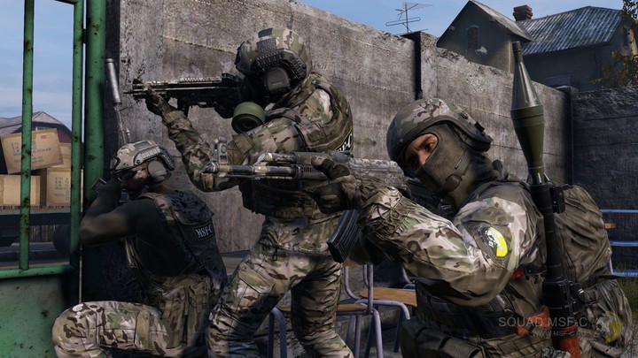 DayZ