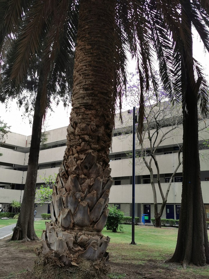 UAM