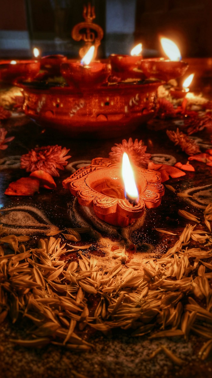Festival delight