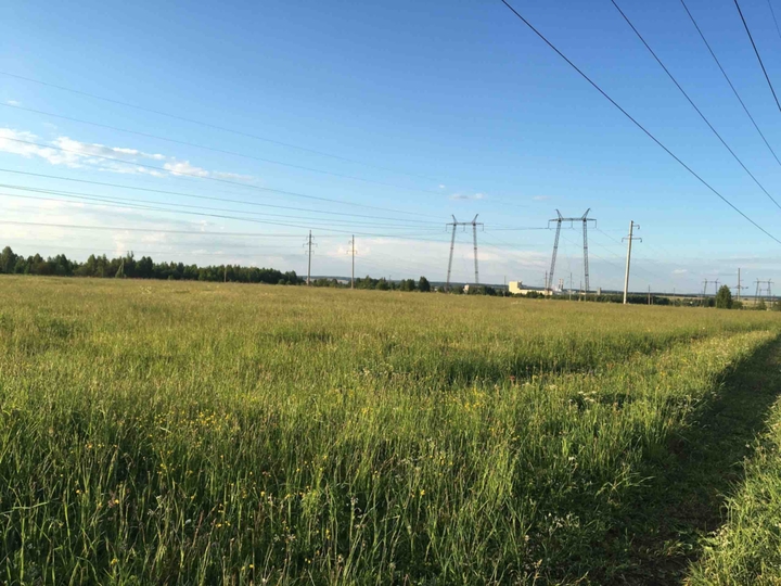 field