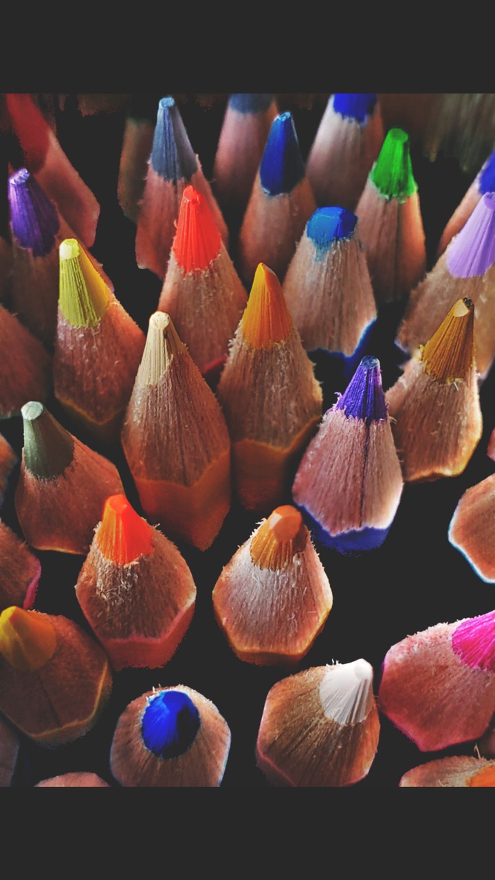 pencils