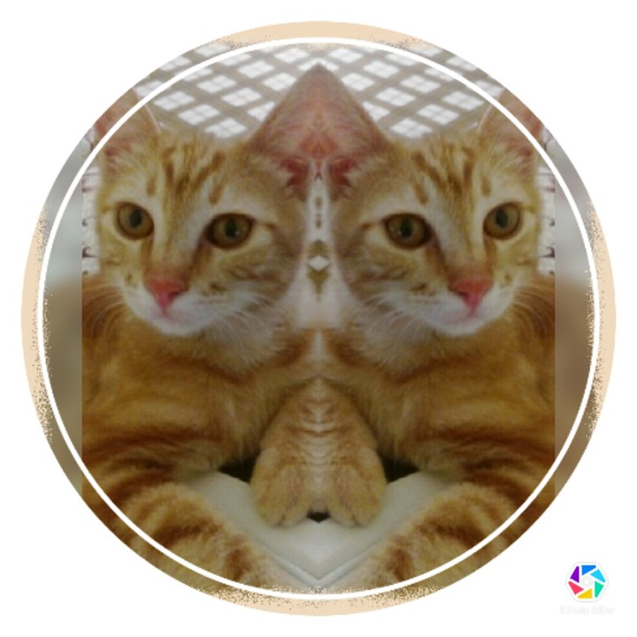 (  Karamel )
