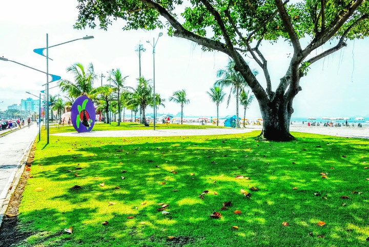 going to beach
