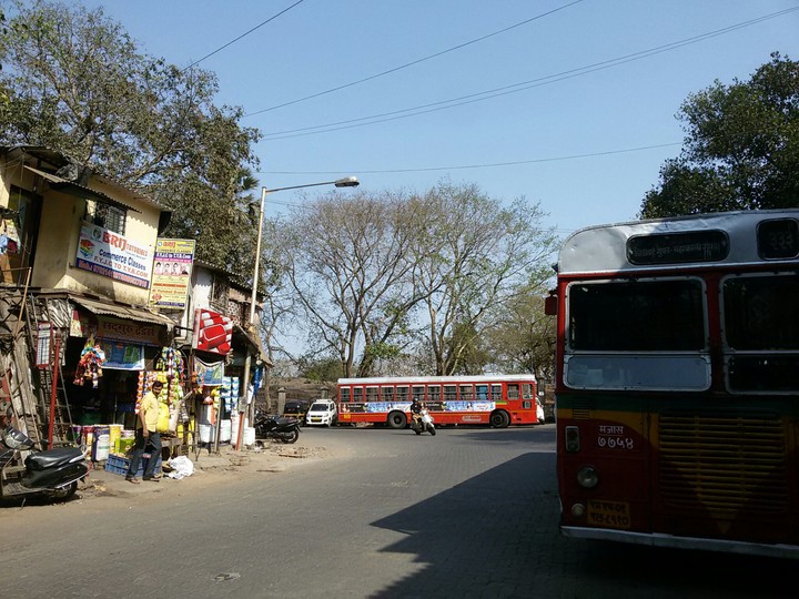 BUS