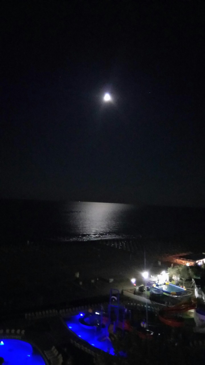 Midnight Sea