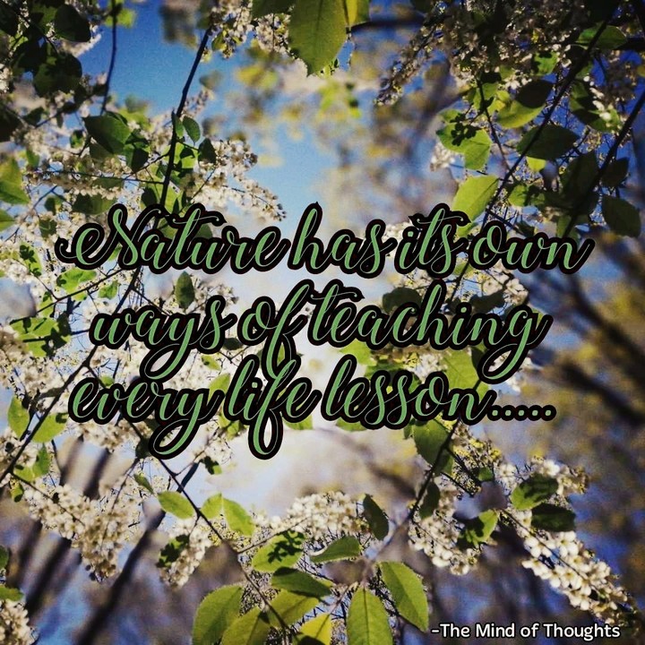 Quotes