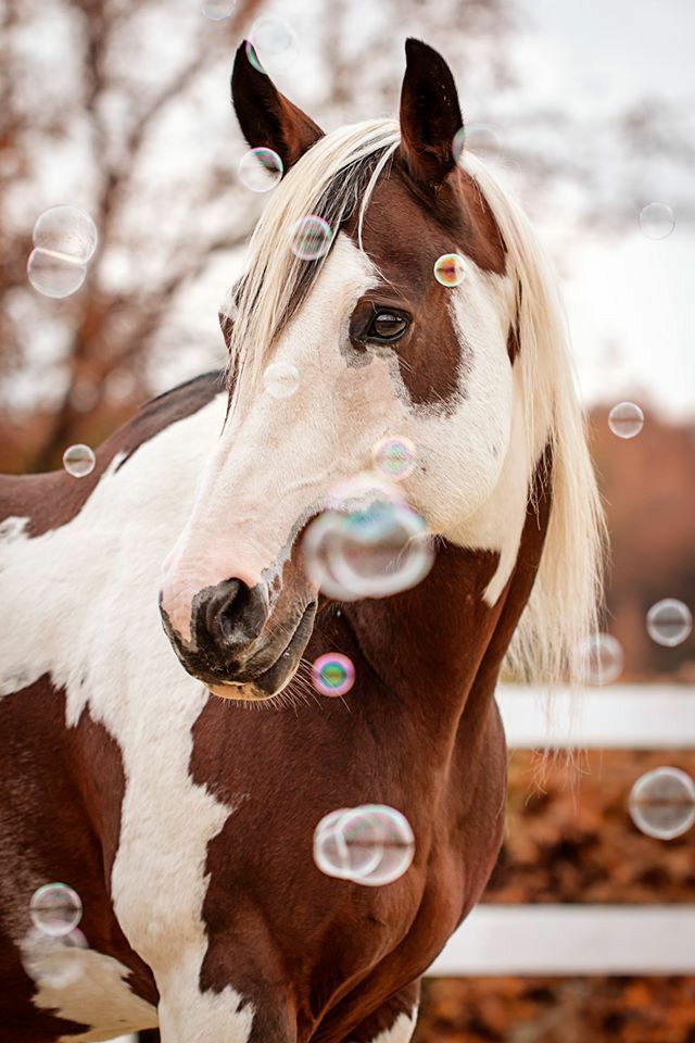 Bubbles!