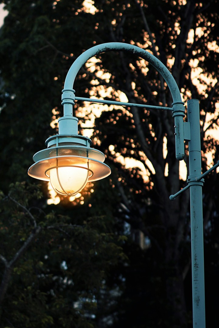 Lights Will Guide You Home