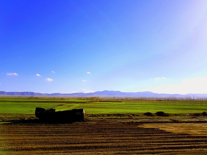 landscape