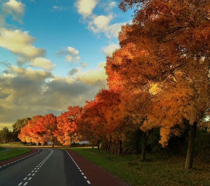 Beautiful nature and road