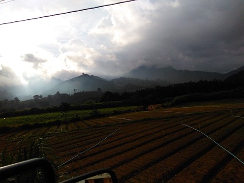 •the rain is coming•