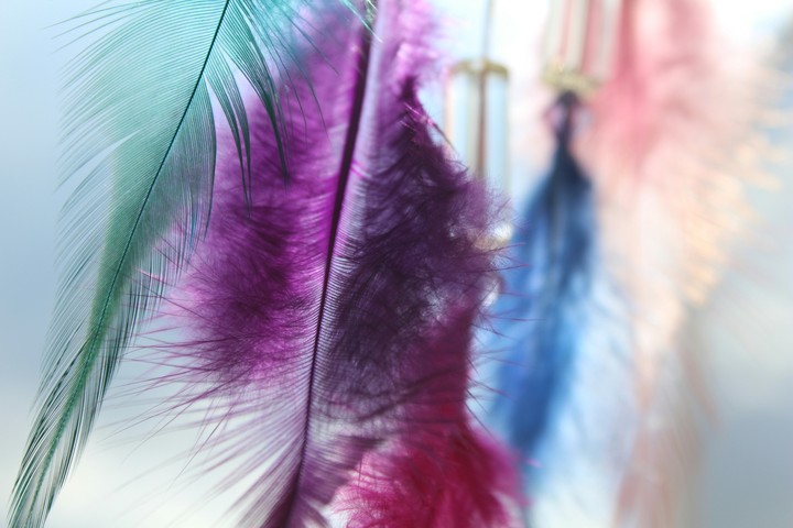 dreamcatcher