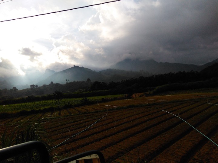 •the rain is coming•