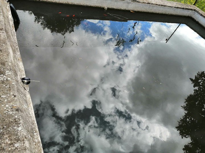 Fishpond