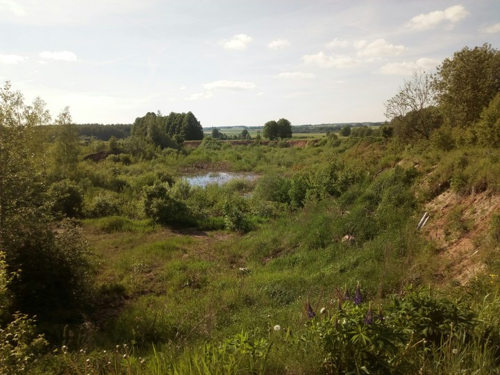 Beautiful landscape