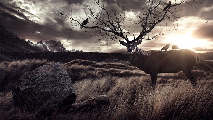 Mythical Deer