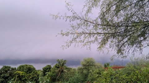 Nature