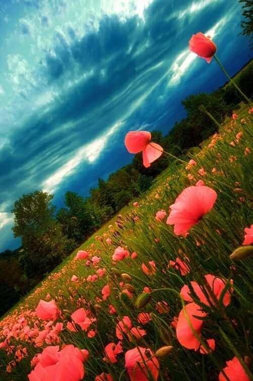 Gods creation