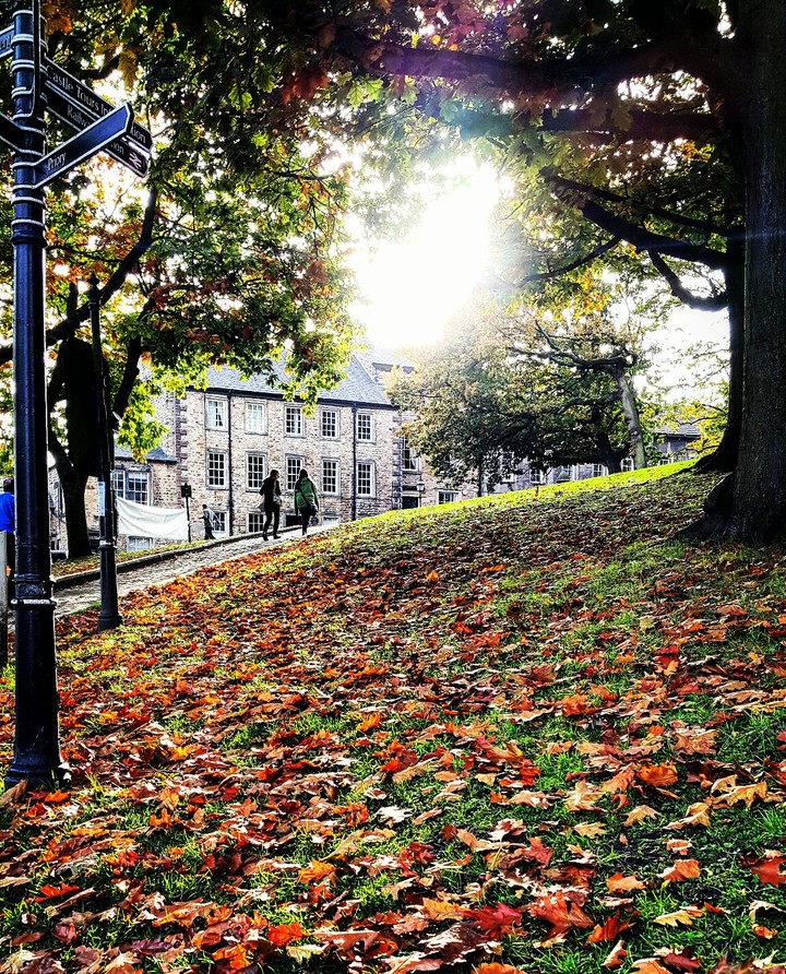 Fall