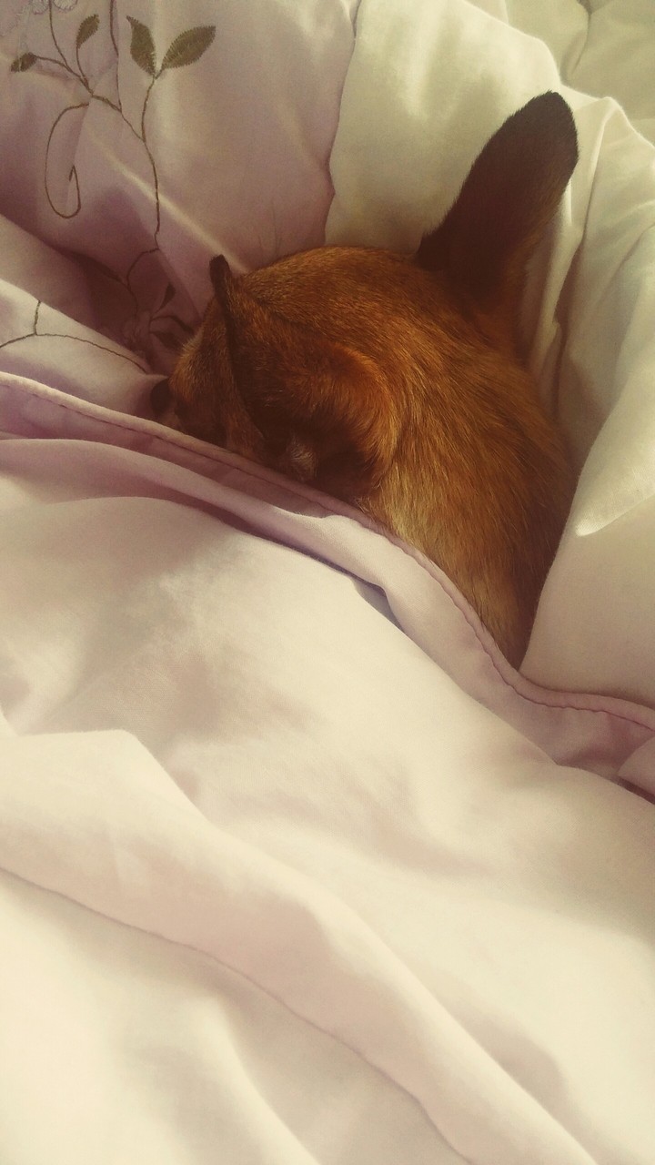 쌔근쌔근♡