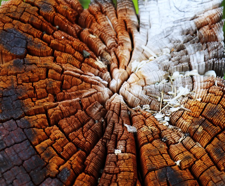 Wood Block