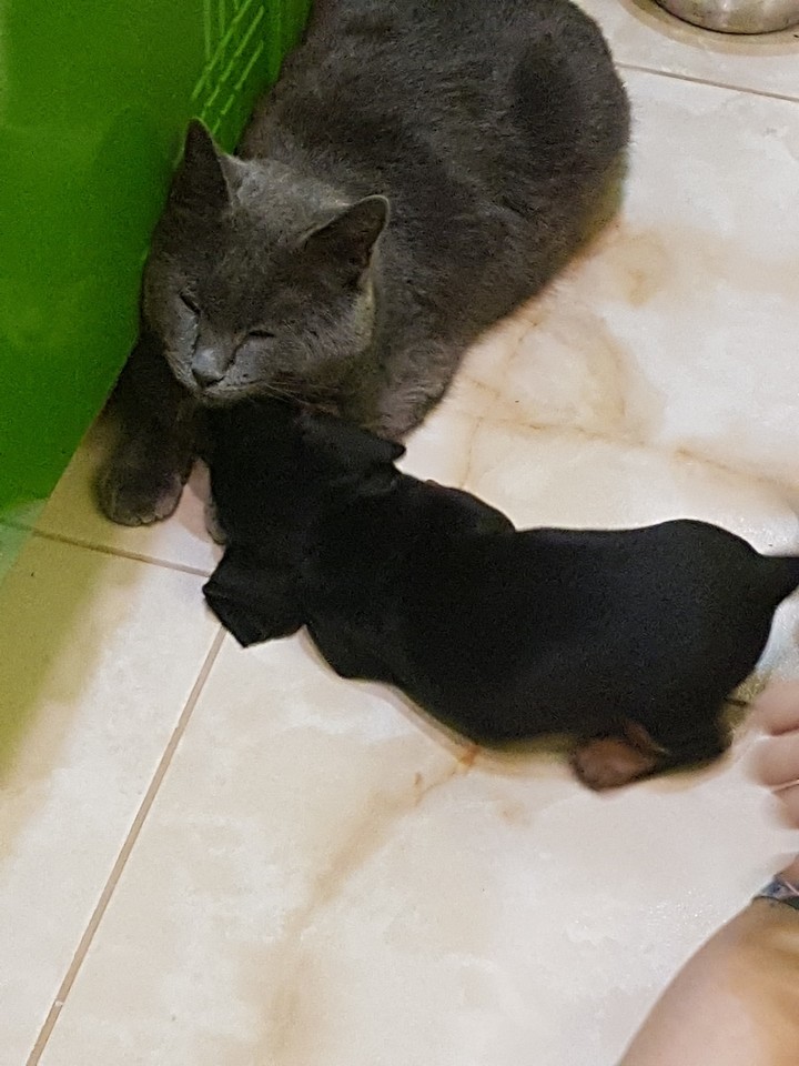 :-)