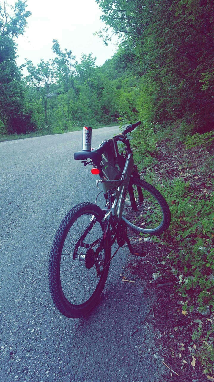 Mountain