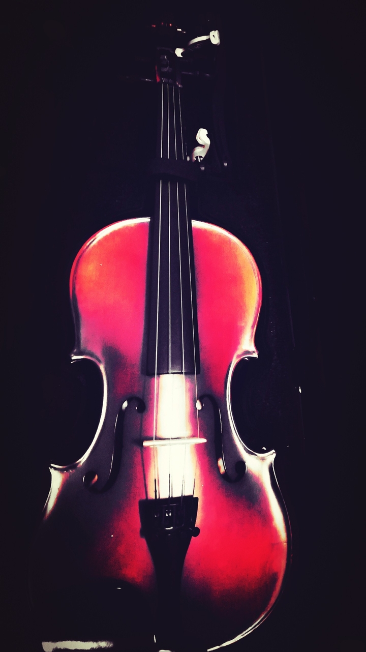 violin
