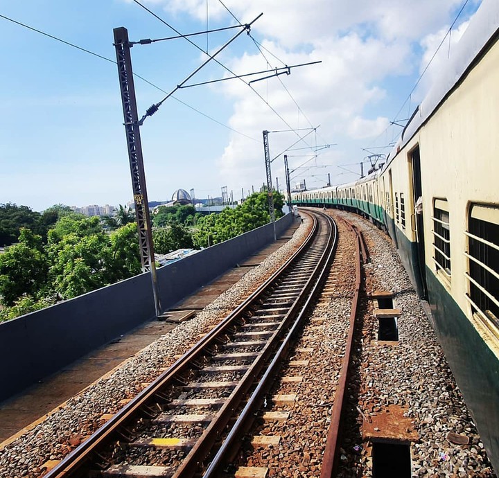 Travel like a Bird!