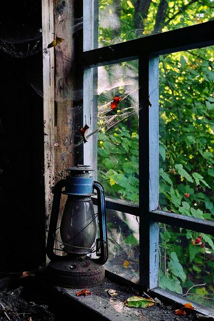 heavy dust of forgetfulness