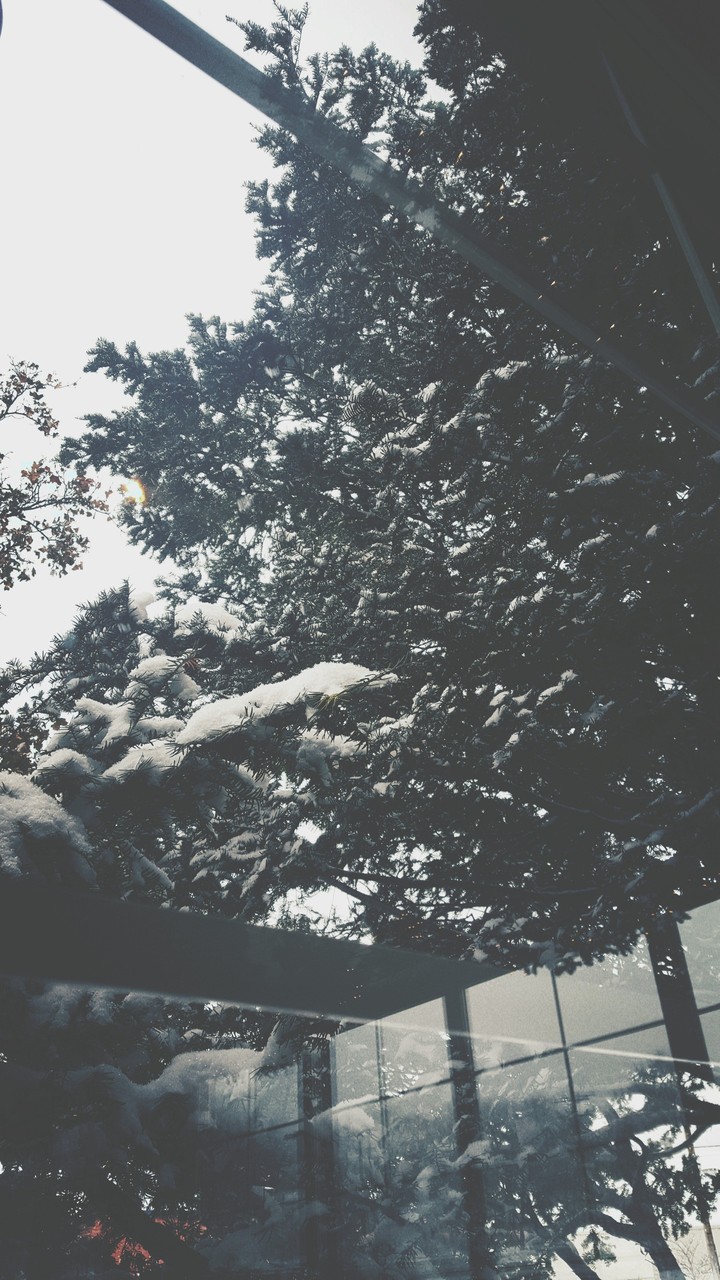 Snow ♡
