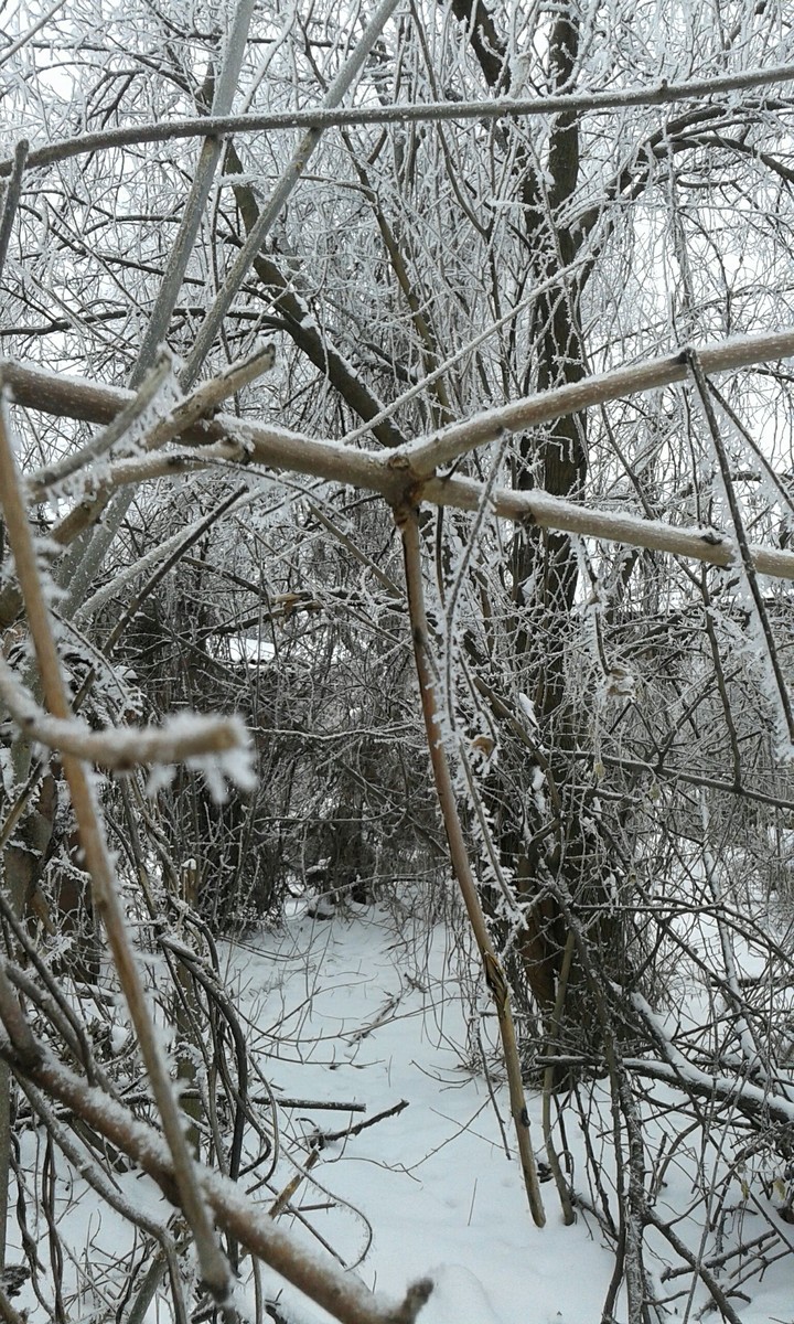 Winter